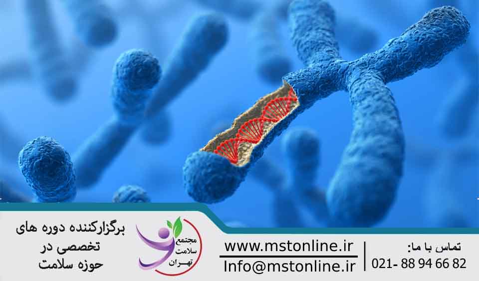 دوره جامع مقدماتی ژنتیک مولکولی | Comprehensive introductory course in molecular genetics