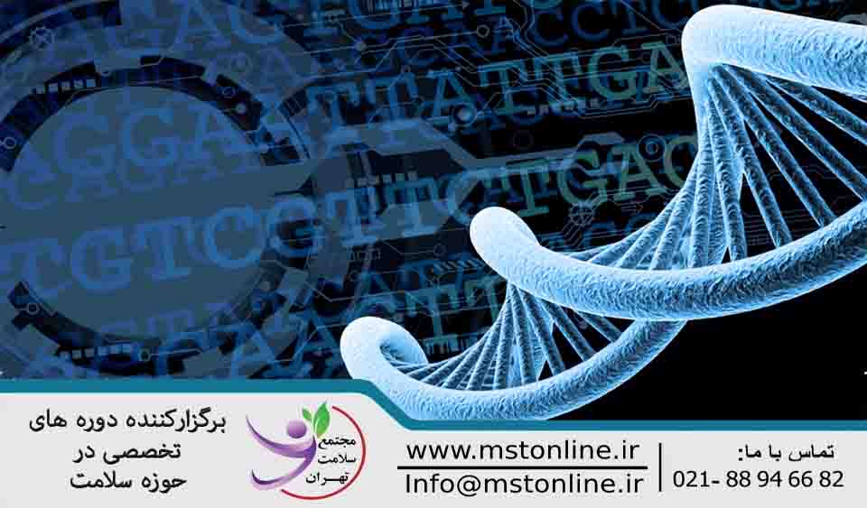 آموزش PCR – ژنتیک مولکولی | PCR training - Molecular genetics